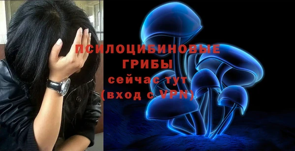 a pvp Балахна