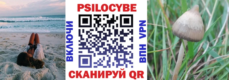 наркошоп  Лакинск  Галлюциногенные грибы Psilocybine cubensis 